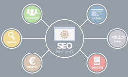 福田网站SEO 优化  推广